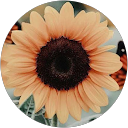 Zoya M. profile picture